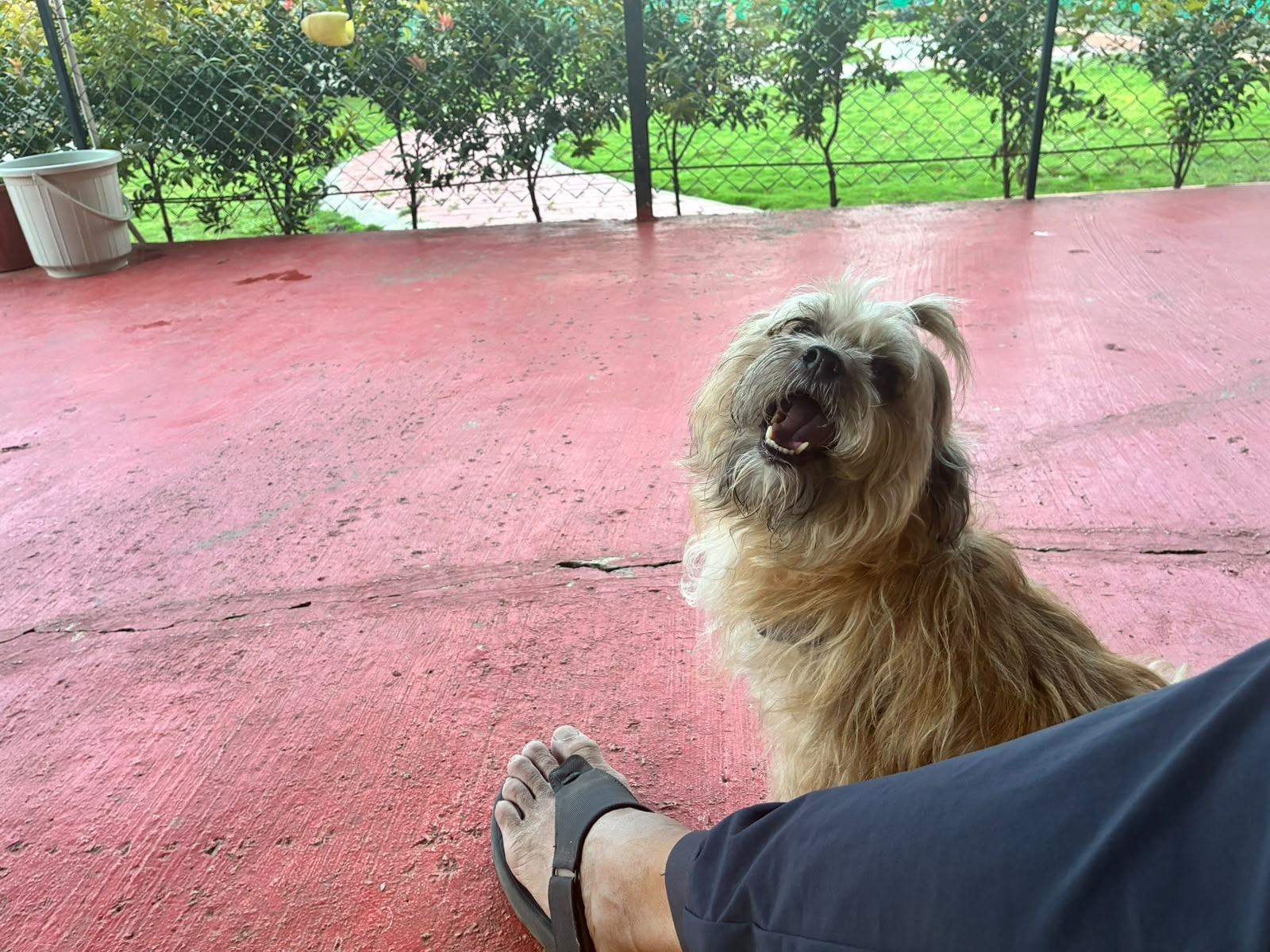 Barkshire premium boarding facility